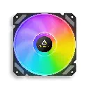 610 (3)_resultado.webp